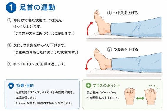 仰向けでつま先の上げ下げを行う足首の運動の手順を示した説明図