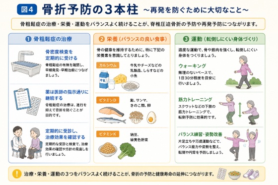骨折予防の3本柱を示す図。骨粗鬆症の治療、カルシウム・ビタミンD・ビタミンKを含むバランスの良い食事、ウォーキングや筋力トレーニング・バランス練習による運動の3つを表すイラスト