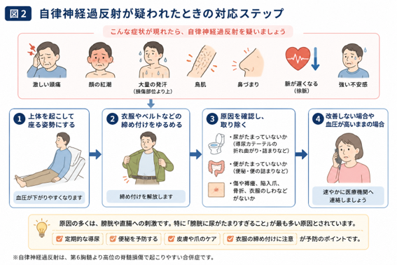 自律神経過反射が疑われたときの対応ステップ（上体を起こす・締め付けを緩める・原因を確認し取り除く・改善しない場合は医療機関へ連絡）