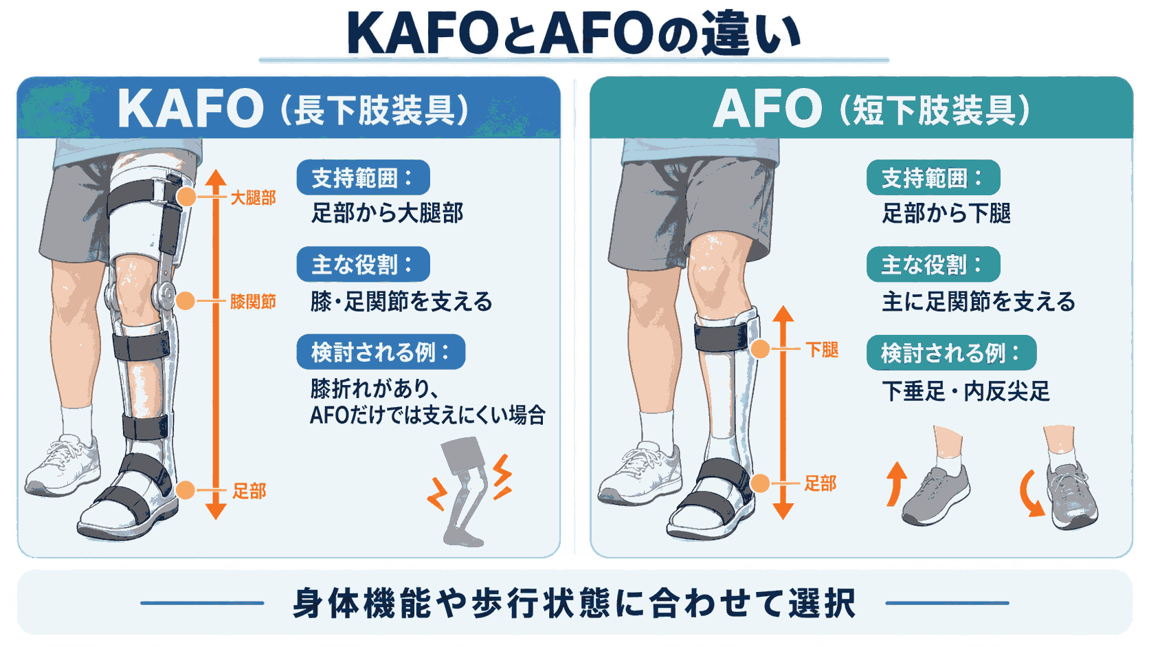 KAFO（長下肢装具）とAFO（短下肢装具）の違い。支持範囲、主な役割、検討される例を比較した図